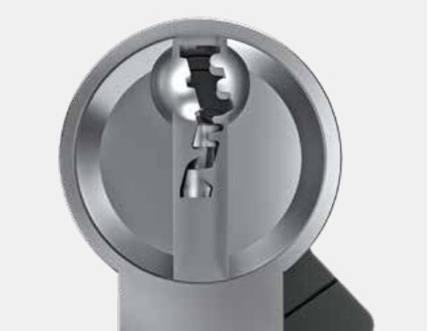 Vitess 1000 - Image 2